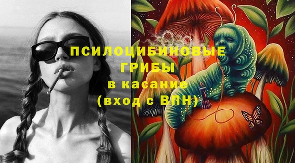 прущий лед Нея