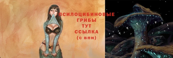 прущий лед Нея