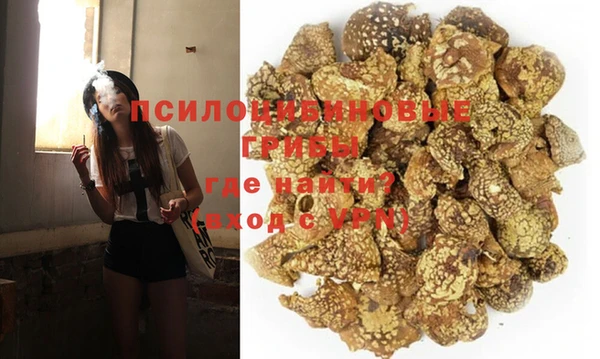 дурь Нефтегорск