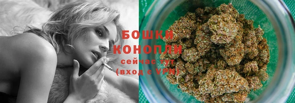 прущий лед Нея