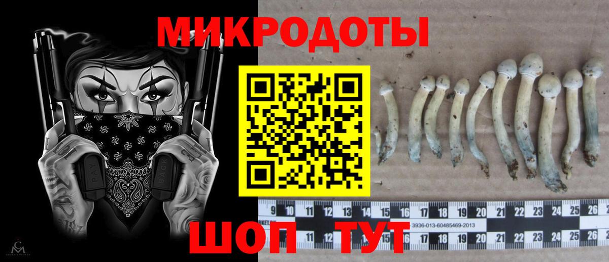 где можно купить   Псилоцибиновые грибы прущие грибы  Вход с VPN  Северобайкальск 